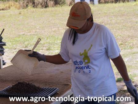 el sustrato se agrega a las bandejas con una palita
